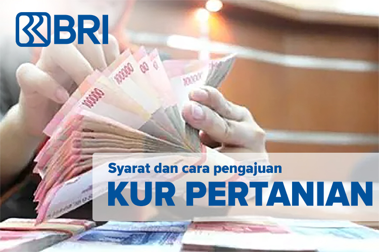 KUR Pertanian Rp 50.000.000 dan Rp 150.000.000, Bisa Digunakan Untuk Pupuk Hingga Usaha Tani