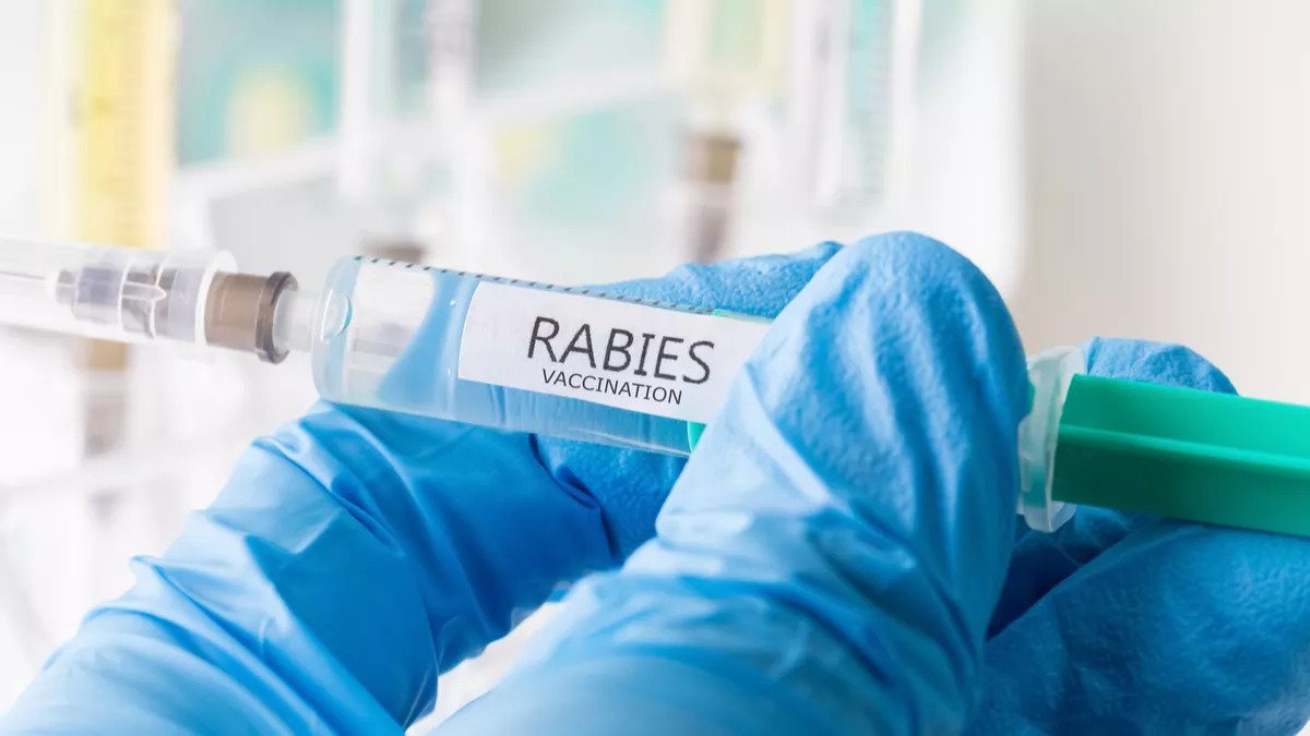 53 Warga Mukomuko Digigit Hewan Rabies