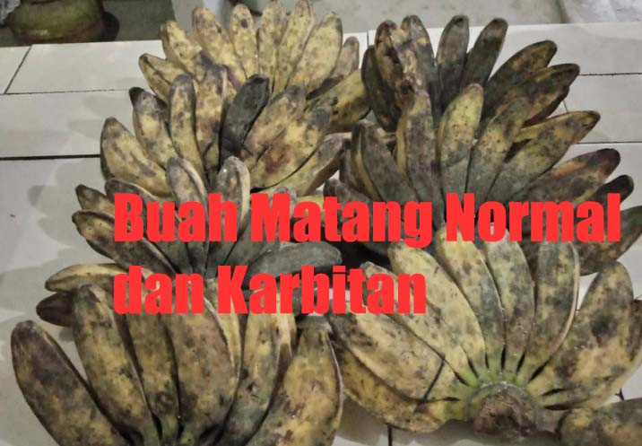 Membedakan Buah Matang Secara Normal dan Masak Hasil Karbitan