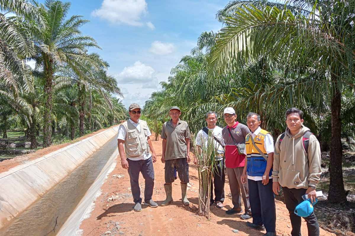 Tanggul Irigasi Diklaim Pemilik Lahan, Ditanami Pohon Sawit