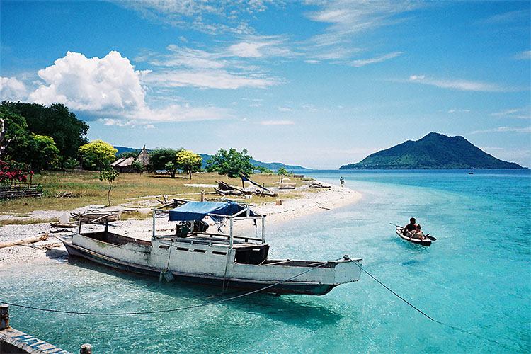 Menilik Keindahan Biota Laut di Pulau Kepa, Pulau yang Menyimpan Keindahan Surga Dari NTT