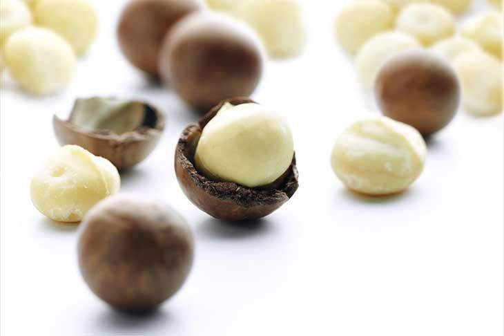 Kacang Macadamia: Investasi Kesehatan yang Menguntungkan, Nikmati Kelezatan dan Manfaatnya!