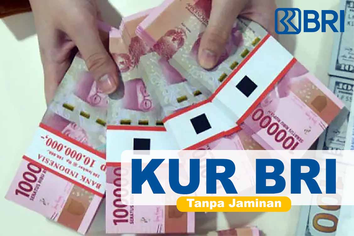 Plafon Rp 25.000.000, Rp 30.000.000 Hingga Rp 50.000.000 KUR BRI Tak Perlu Jaminan, Langsung Cair