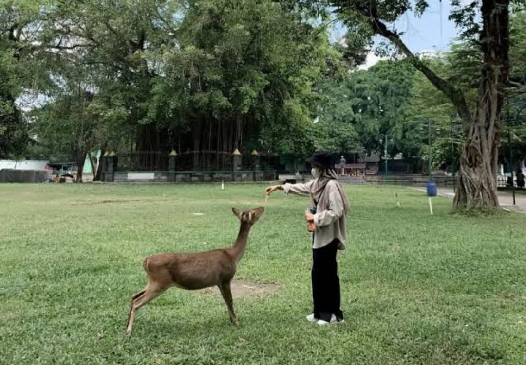 Belum Datang ke Solo Bila Belum Bekunjung ke Tempat Wisata Indah Tapi Murah, Ini Rekomendasinya