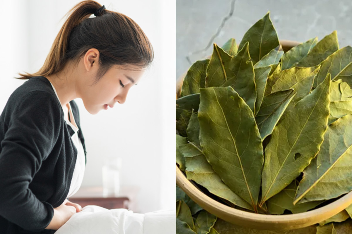 Rambut Lambat Tumbuh, Nyeri Haid, Jangan Bingung Cukup Gunakan Bumbu Dapur Ini Dapat Mencegah Kanker