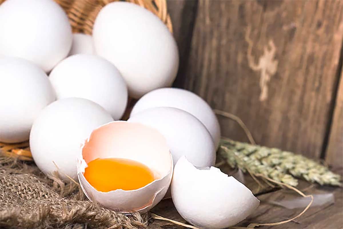 Lebih Menyehatkan, Inilah Manfaat Telur Ayam Kampung Bagi Kesehatan