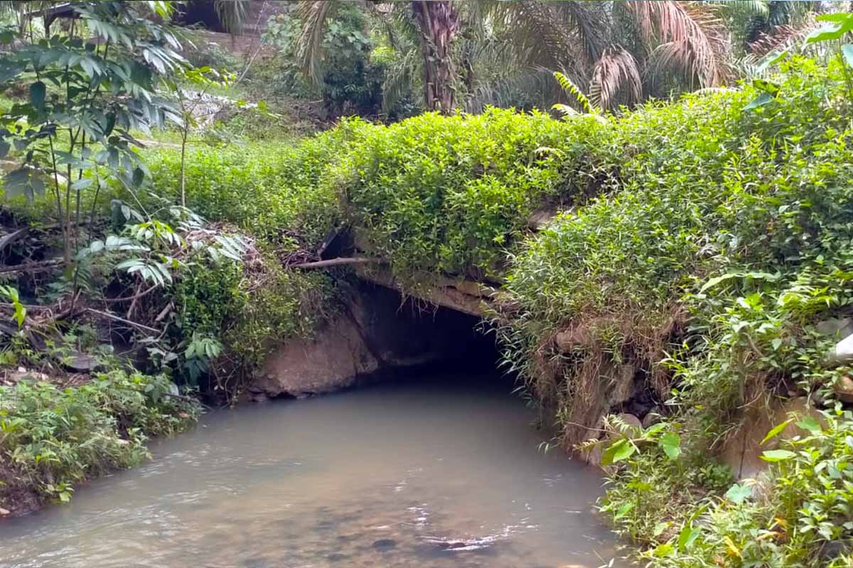 Jembatan Akses Pertanian Mulai Darurat, Warga Minta Perbaikan