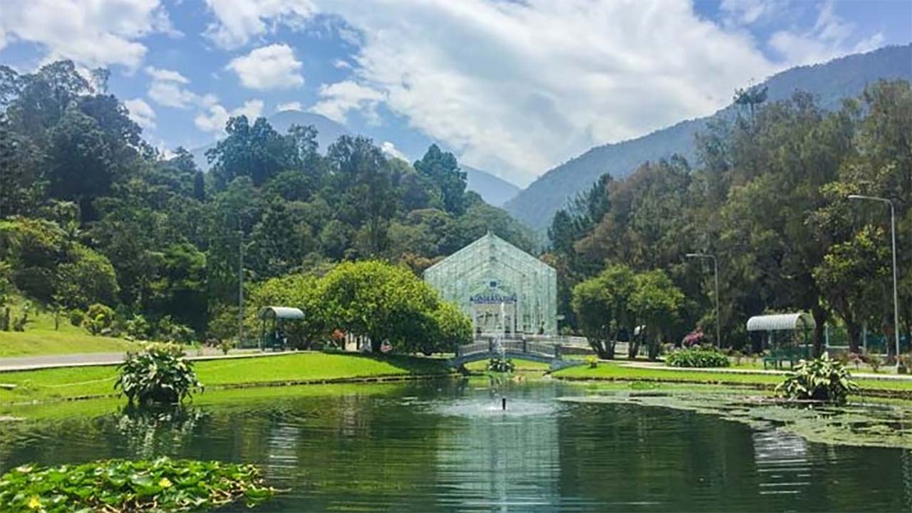 Bikin Hati Adem dan Tenang! Inilah Keindahan Wisata Kebun Raya Cibodas