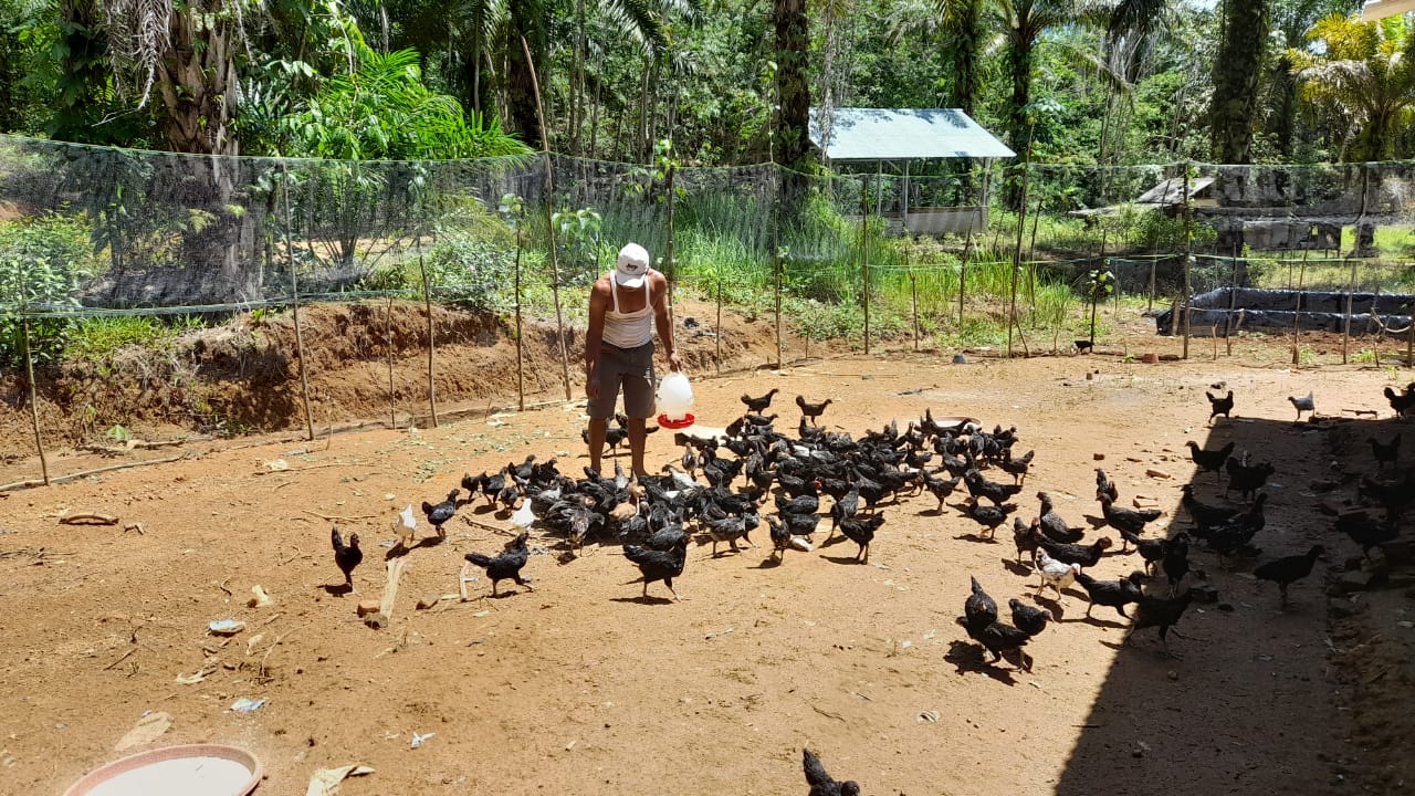 Bandar Jaya Kaji Ulang Program Ayam KUB 