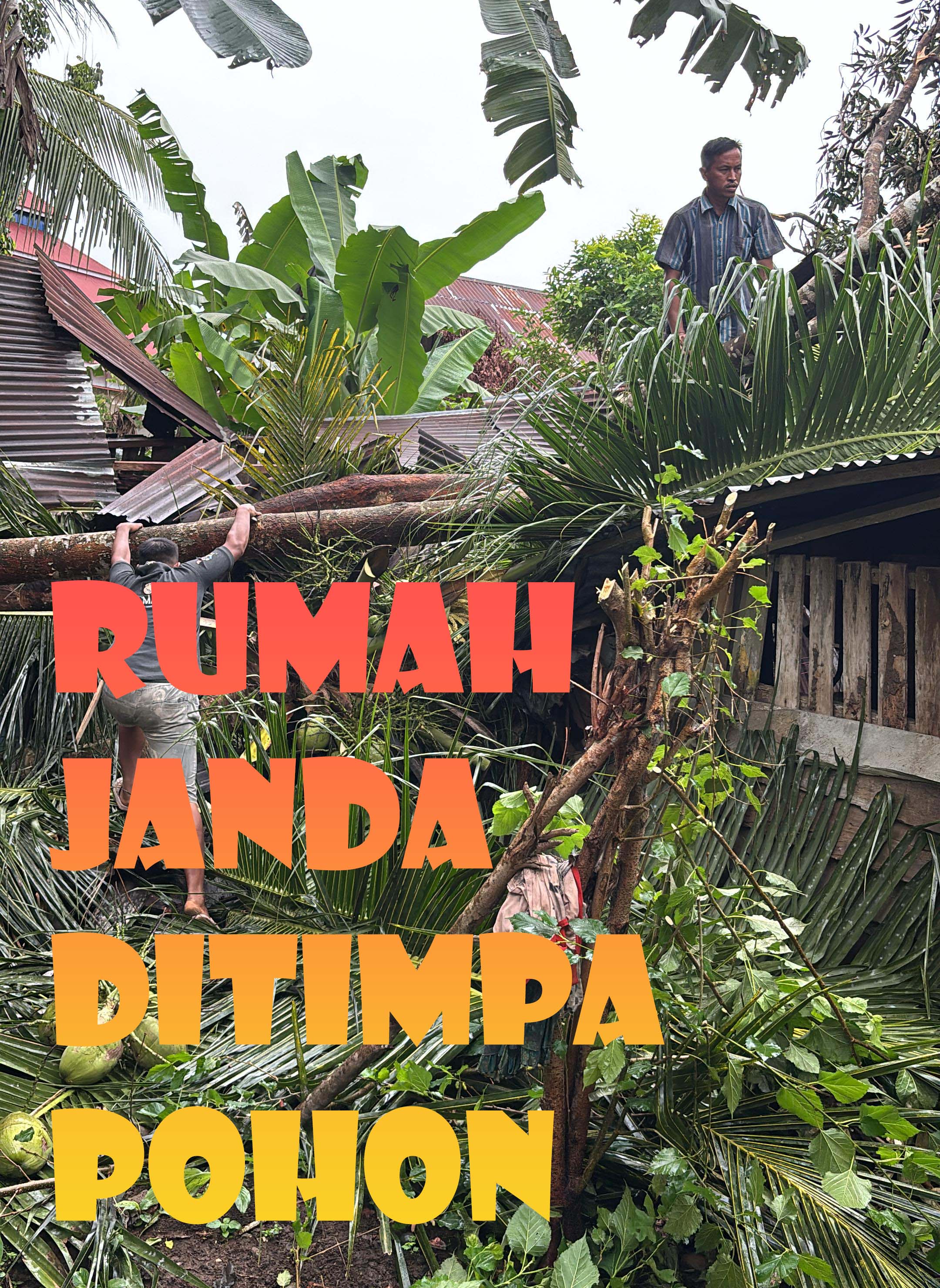 Rumah Janda Hancur Tertimpa Durian dan Kelapa Saat Badai, Di Pondok Panjang Mukomuko 