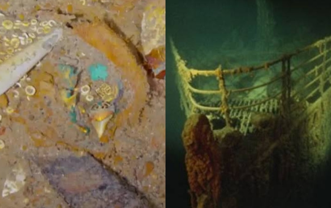Menurut Ahli, Harta Karun Titanic Emas dan Perak Masih Terjaga Keindahannya di Dasar Laut, Ini Alasannya