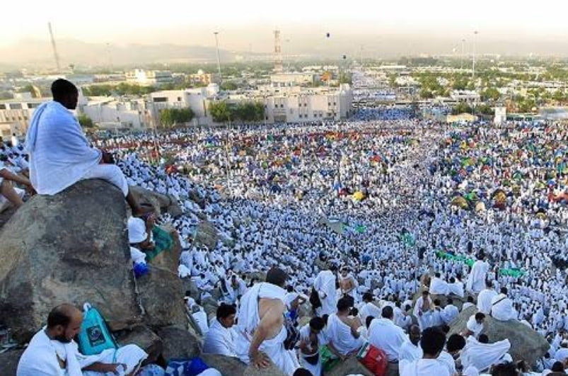 Ini Jadwal Wukuf di Arafah, Ternyata Jumlah Wafat Jemaah Haji Indonesia Terus Bertambah