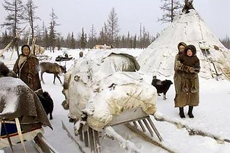 Kayak Jorok, Suku Nenets, Hidup di Arktik Rusia dengan Migrasi Setiap Tahun Terpanjang di Dunia