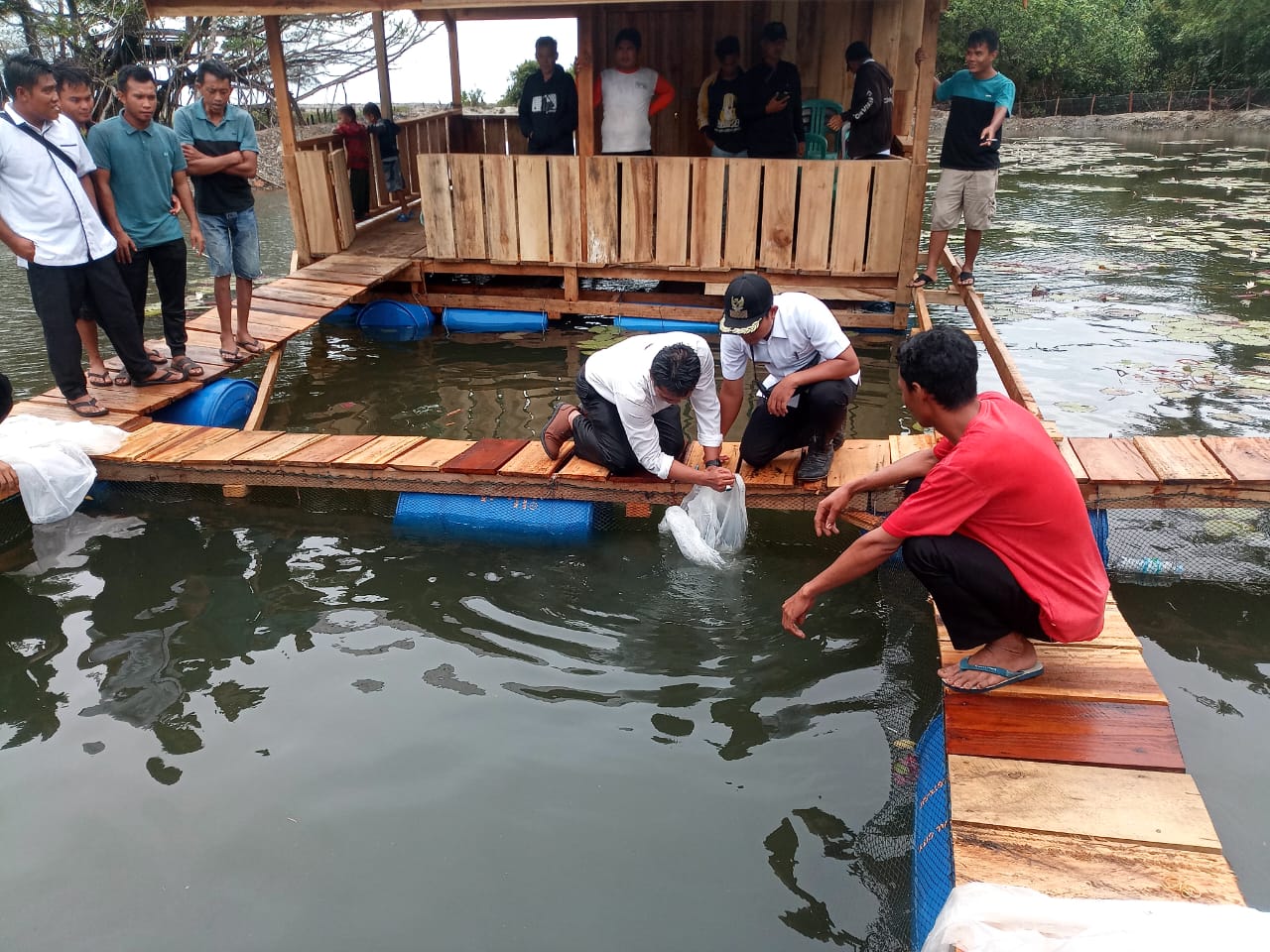 Retak Ilir Budidayakan Ribuan Ikan Nila 