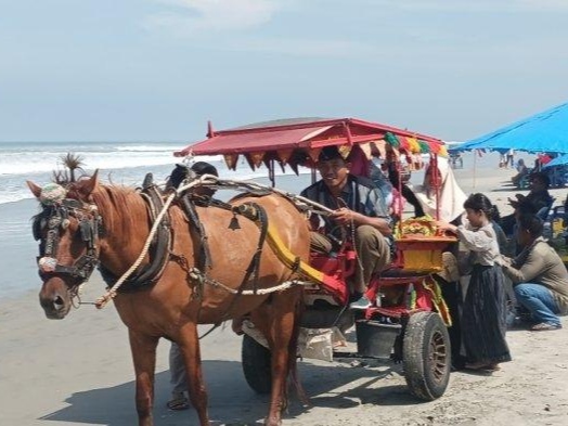 Kusir Delman di Bengkulu Raih Keuntungan Berkali-kali Lipat Selama Libur Lebaran