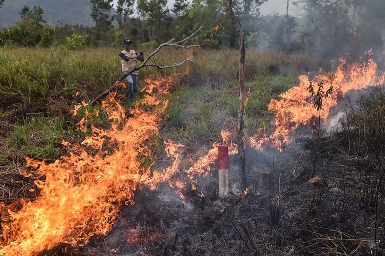 FGD Perkumpulan Elang, Terungkap Sejumlah Perusahaan Diduga Penyebab Kebakaran Hutan di Riau 