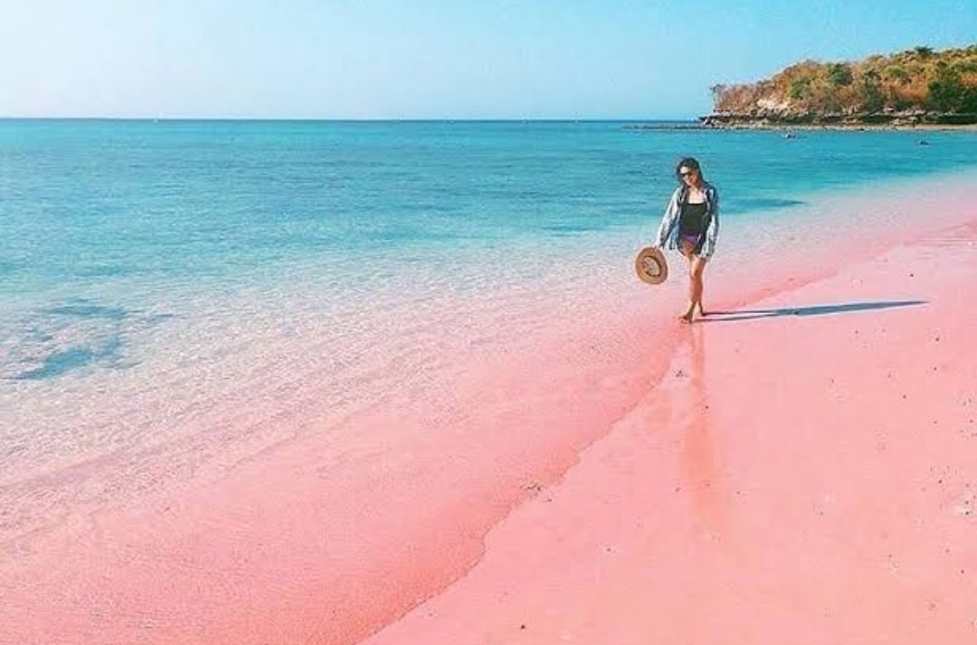 3 Keindahan Utama Pantai Pink di Lombok, Salah Satunya Pasirnya yang Berwarna Pink