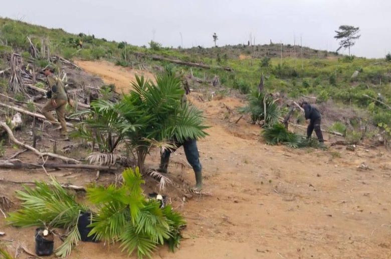 Diusir Dari HPT, Perusahaan Sawit Di Mukomuko Harus Fasilitasi Plasma Untuk Warga