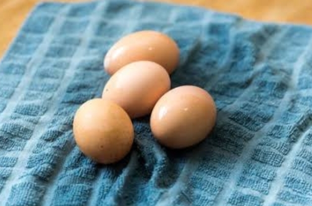 Mencuci Telur Bisa Menyebabkan Kontaminasi Bakteri? Begini Cara Mengolah Telur Agar Aman Dikonsumsi