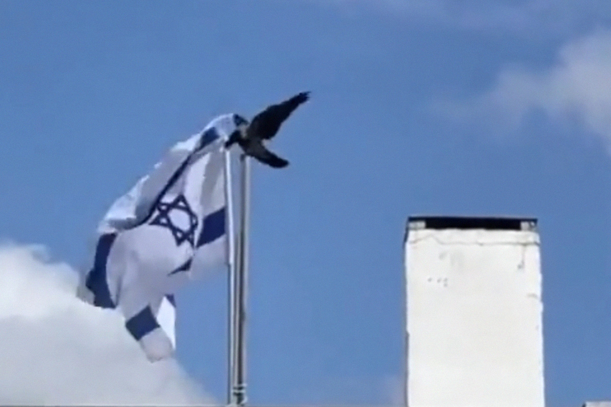 Viral, Bendera Negara Israel Diturunkan oleh Seekor Burung, Begini Tanggapan Warga Net