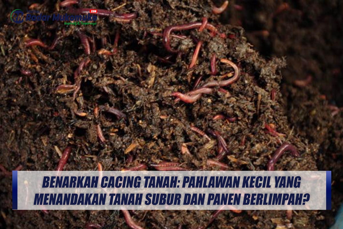 Benarkah Cacing Tanah: Pahlawan Kecil yang Menandakan Tanah Subur dan Panen Berlimpah?