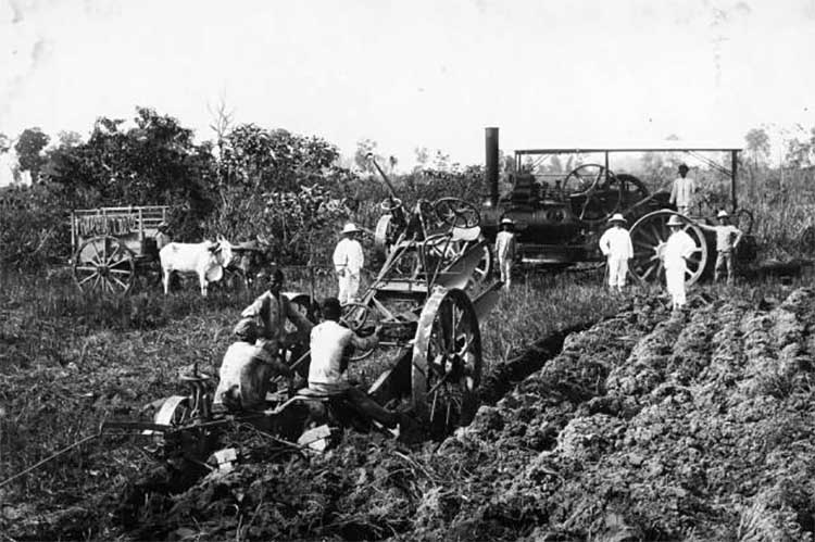 Kisah Kelam Perbudakan Dibalik Hijaunya Kebun Tembakau Deli Sumatera Utara