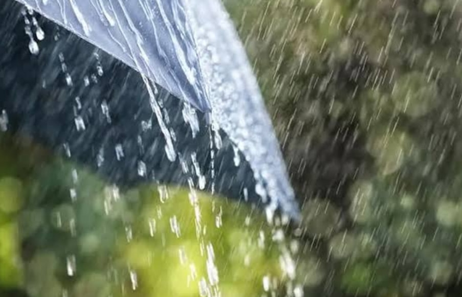 Update Peringatan Dini Cuaca, Berpotensi Hujan Deras dan Angin Kencang