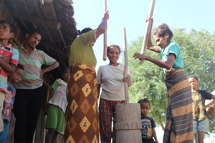 Kesenian dan Kebudayaan Unik Timor Leste, Buaya Sebagai Hewan Suci