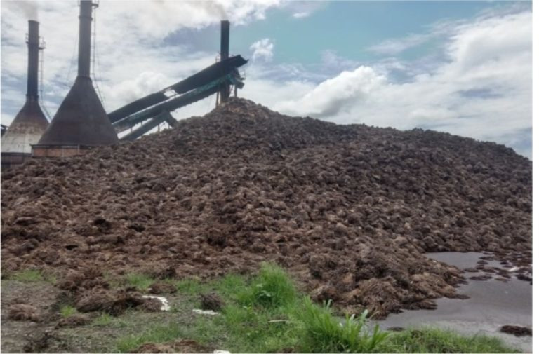 Pabrik Sawit Tidak Punya Kebun, Sanksinya Berat dan Rugi Sendiri