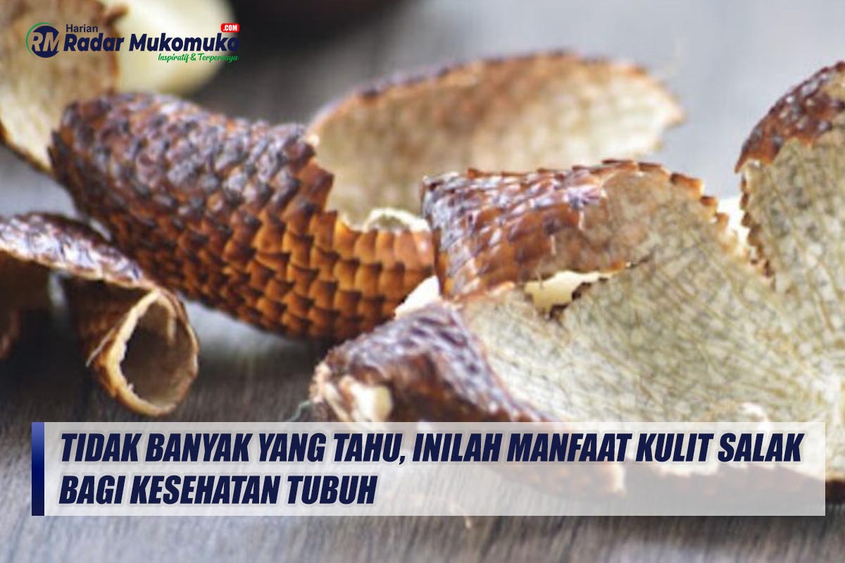 Tidak Banyak yang Tahu, Inilah Manfaat Kulit Salak Bagi Kesehatan Tubuh