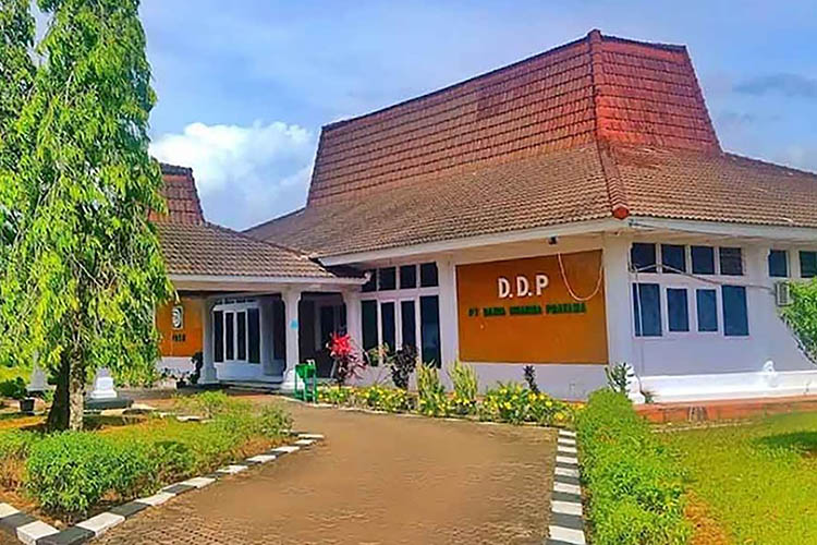 DDP Klaim Lahan yang Mereka Panen Resmi Milik Perusahaan