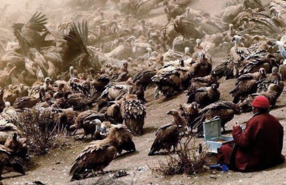 Tradisi Pemakaman Langit, Jenazah Suku Tibet Menjadi Makanan Burung