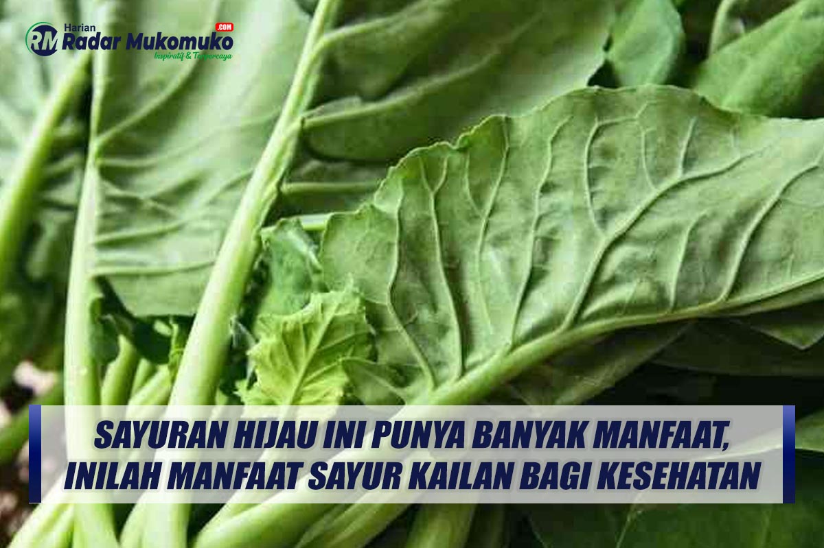 Sayuran Hijau Ini Punya Banyak Manfaat, Inilah manfaat Sayur Kailan Bagi kesehatan