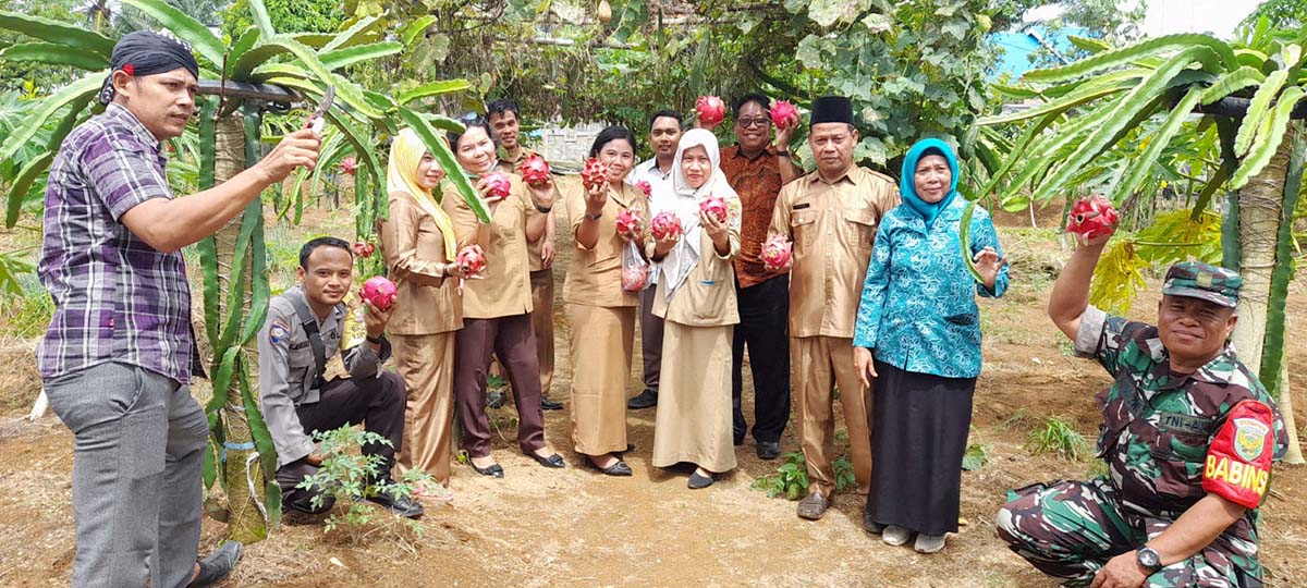 Kebun Buah Naga Desa Sumber Mulya Mulai Berbuah, Ini Kata Kades