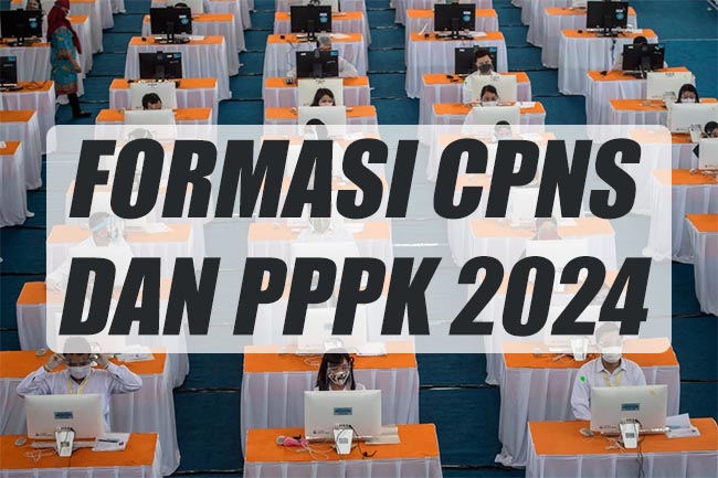 Formasi CPNS dan PPPK 2024, Ini Cara Mendaftar dan Syaratnya