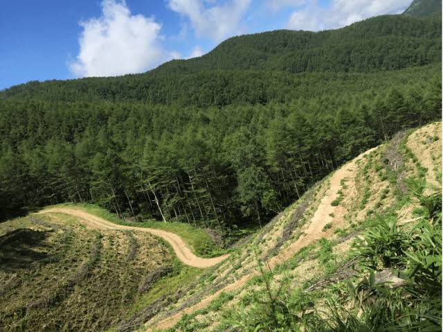Ini Alasan Orang Tua di Jepang Dibuang ke Hutan