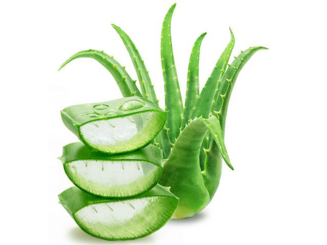 Manfaat Lidah Buaya untuk Kesehatan dan Kecantikan Kulit secara Alami
