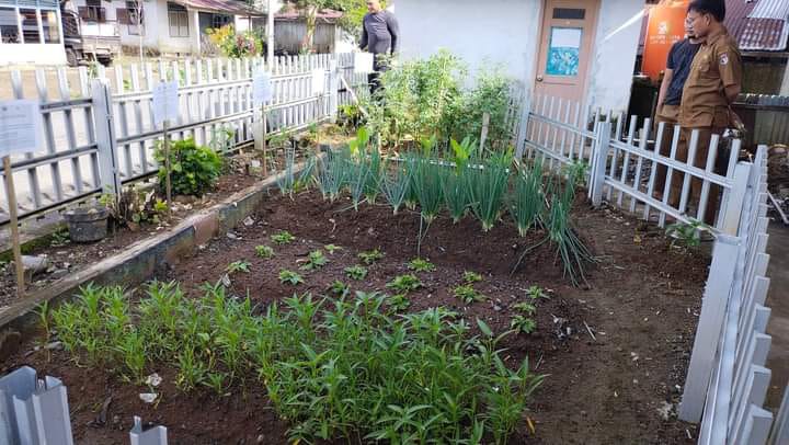 Kades Lubuk Sanai Ajak Warga Hijaukan Perkarangan Dengan Sayur