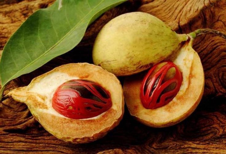 Buah Pala: Warisan Rempah Indonesia, Manfaatkan Khasiatnya dengan Bijak!