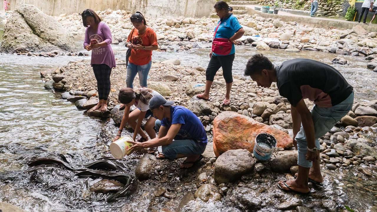 Keindahan Alam di Balik Wisata Budidaya Belut Sacred Eels of Waai