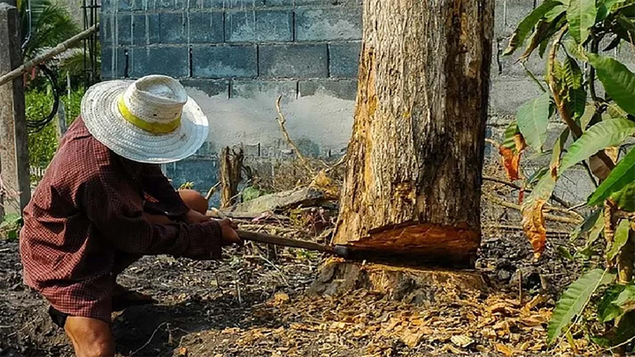 5 Mitos Tabu Ini Mencegah Orang Indonesia Berbuat Jahat di Tempat-Tempat Ini, Berani Melanggar? 