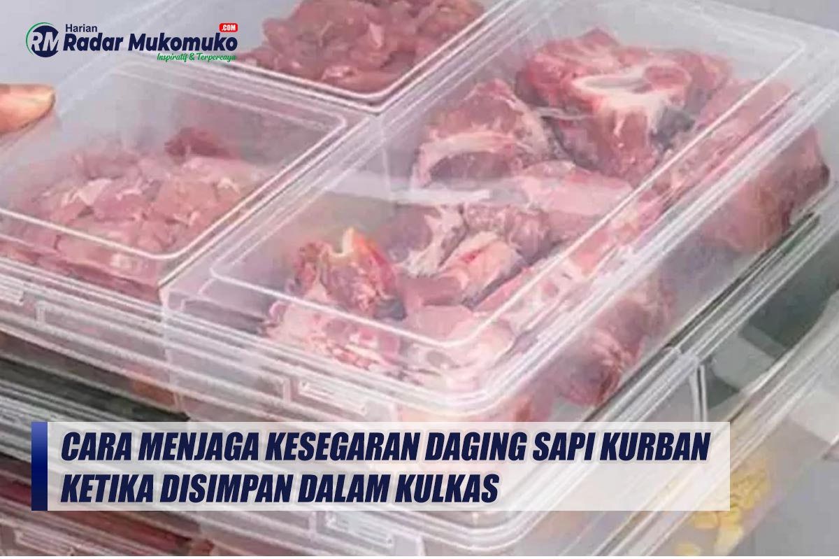 Tips dan Cara Menjaga Kesegaran Daging Sapi Kurban Ketika Disimpan dalam Kulkas