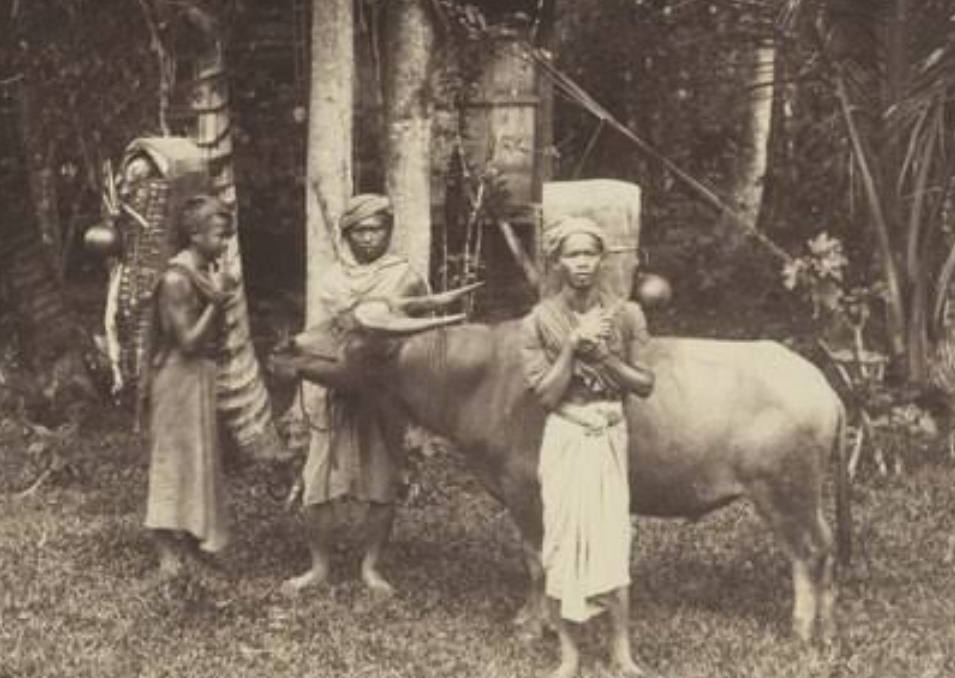 7 Suku Tertua di Indonesia, Salah Satunya Hilang Secara Misterius