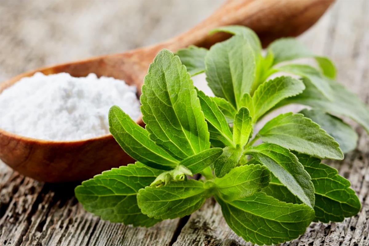 Dikenal Sebagai Pengganti Gula, Ketahui 3 Manfaat Stevia Bagi Kesehatan