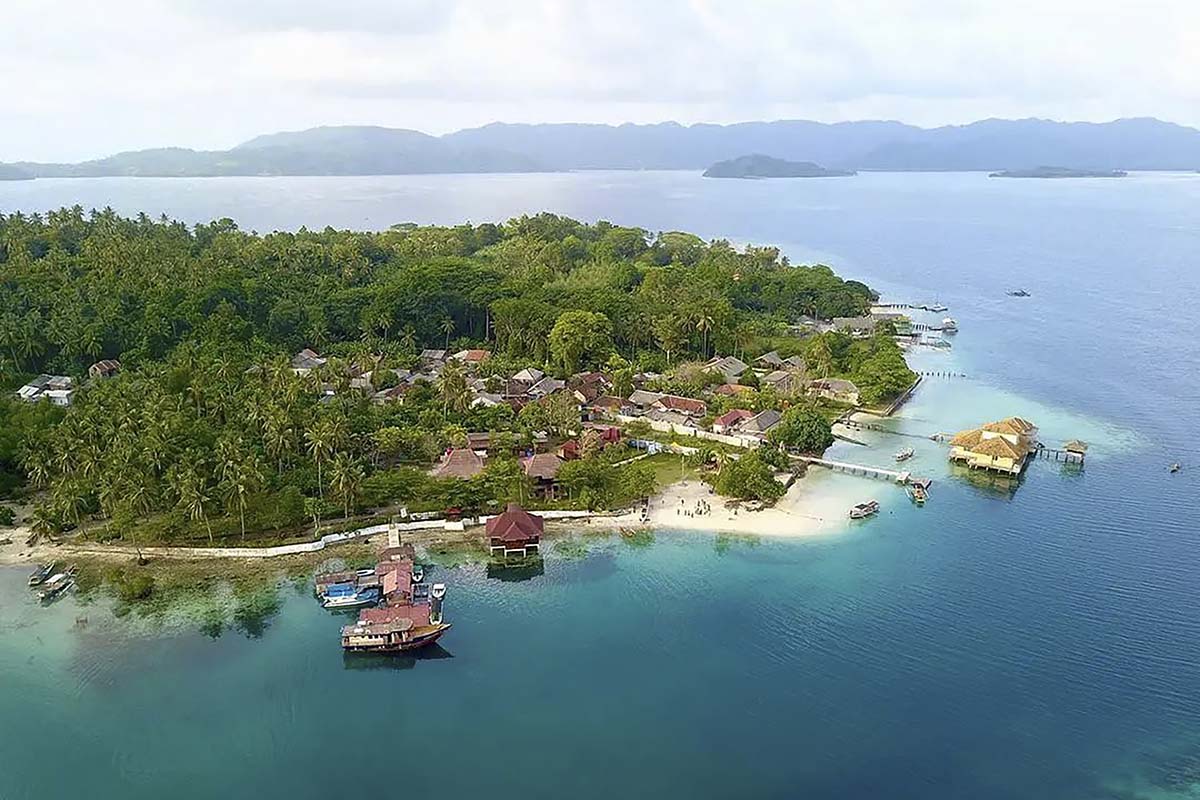 Pesona Keindahan Bawah Laut di Wisata Bahari Pulau Tanjung Putus Lampung