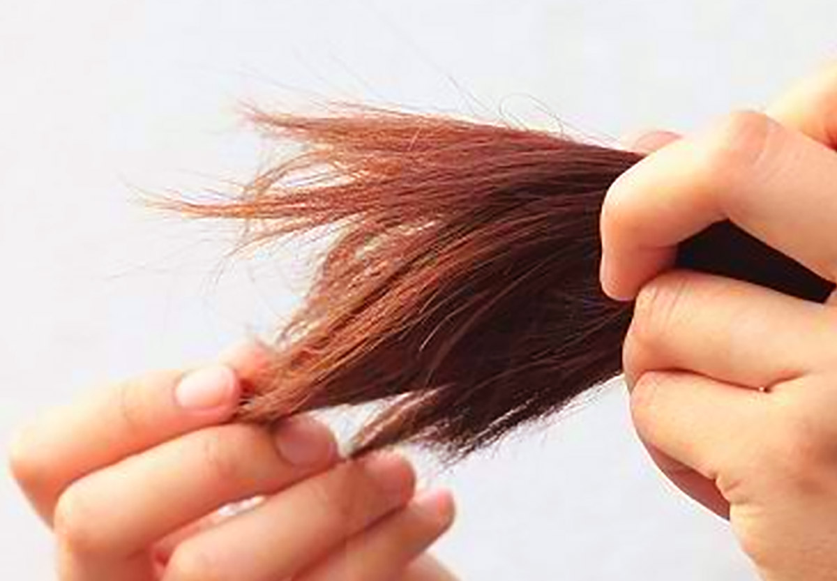 5 Cara Mengatasi Rambut Merah dan Bercabang yang Efektif, Simak Disini