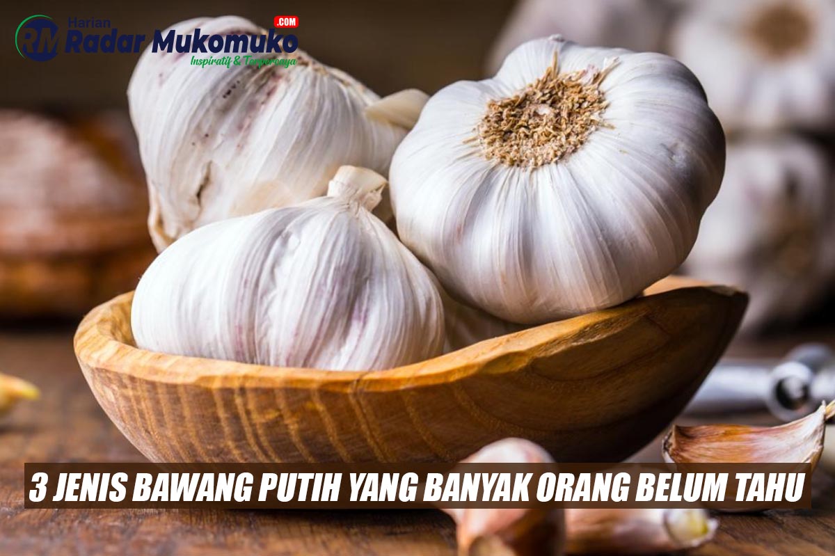 3 Jenis Bawang Putih yang Banyak Orang Belum Tahu, Mana yang Paling Sering Digunakan?