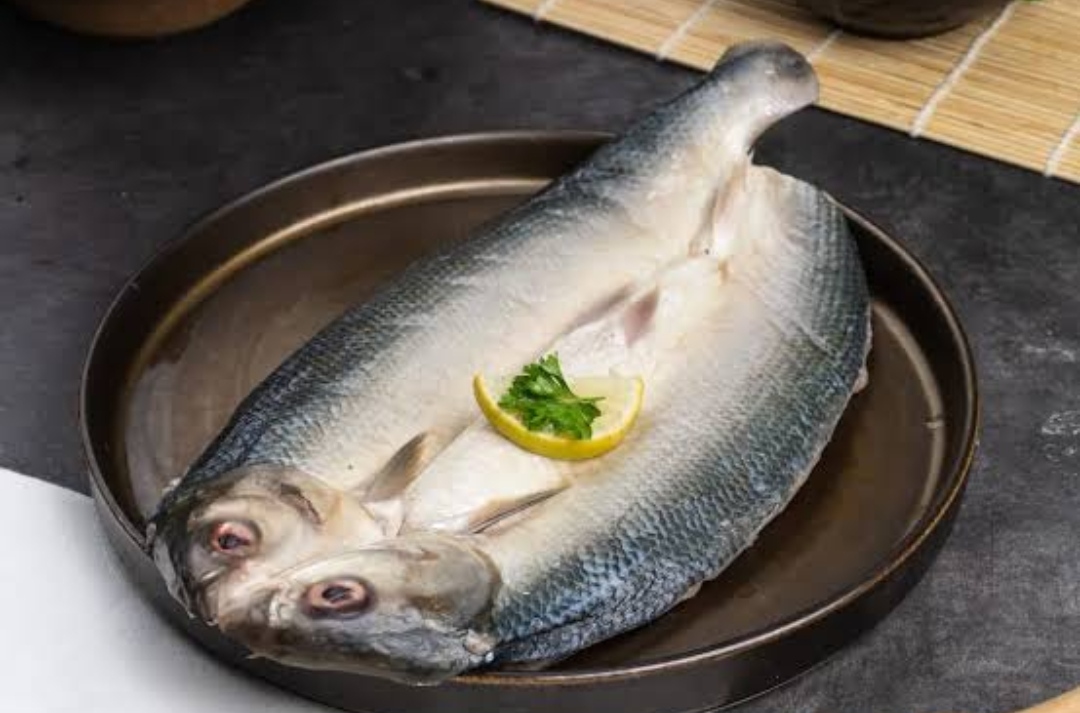 Ikan Bandeng Walau Penuh Duri Tapi lezat Penuh Nutrisi dan Vitamin, Cocok Bagi Penderita Sakit Radang Sendi