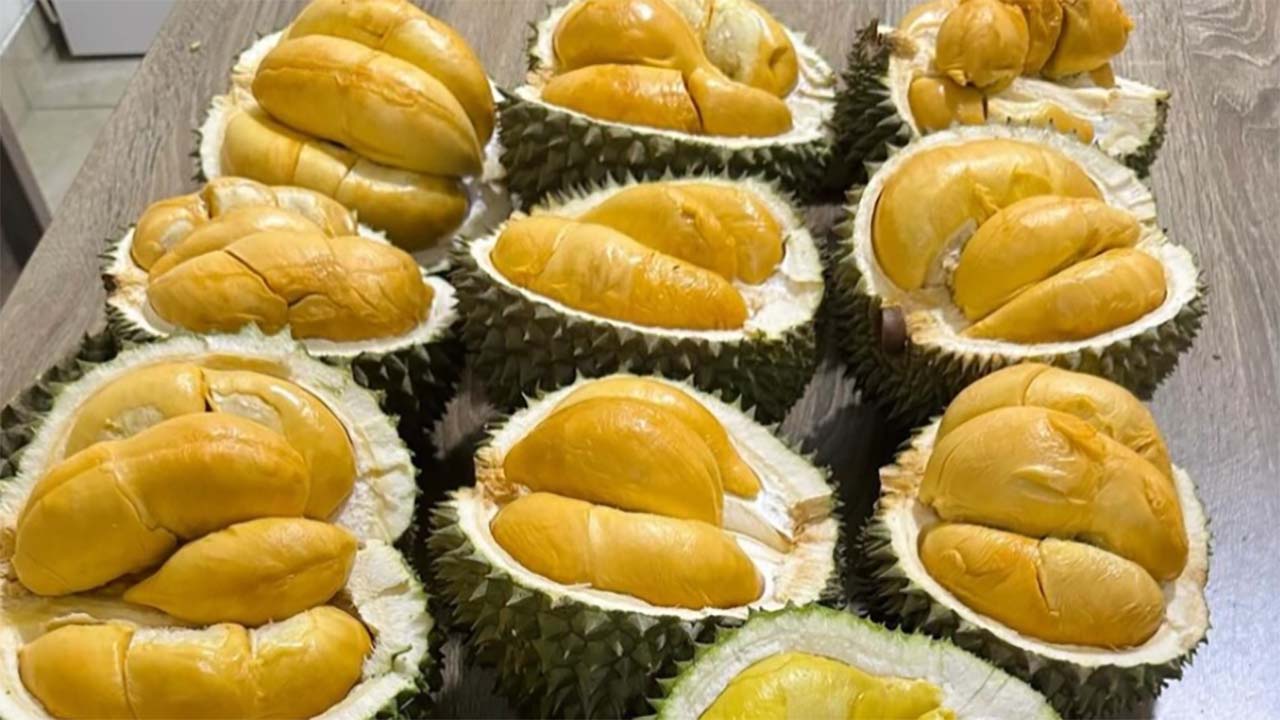 Musim Durian Tiba, Ini Manfaat dan Efek Samping Memakan Buah Berduri Tersebut