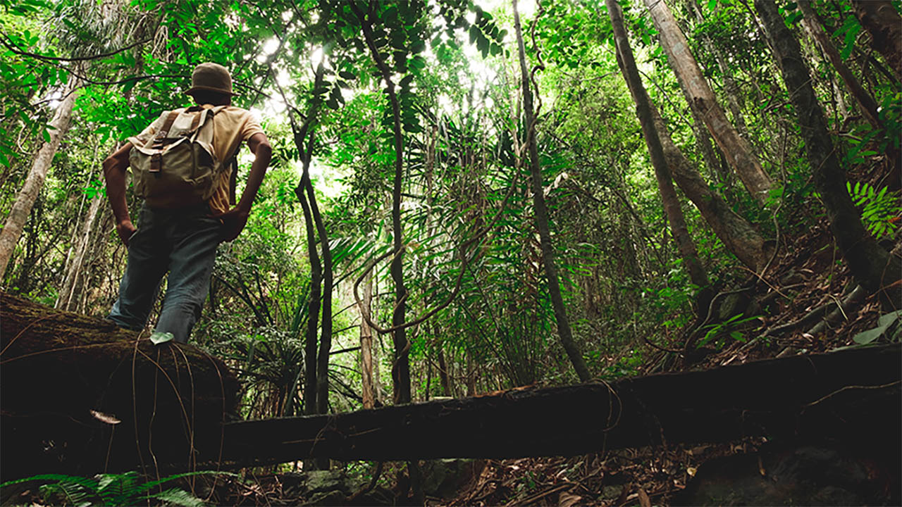 5 Insting Bertahan Hidup yang Akan Membantu Anda Bertahan Melawan Alam Liar di Hutan dan Pulau 